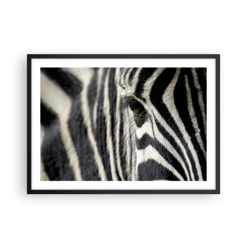 Affiche dans un cadre noir - Poster - Gros plan de l'œil d'un zèbre avec des rayures noires et blanches - 70x50cm - Portrait en rayure - Décoration murale moderne pour le salon et la chambre ARTTOR