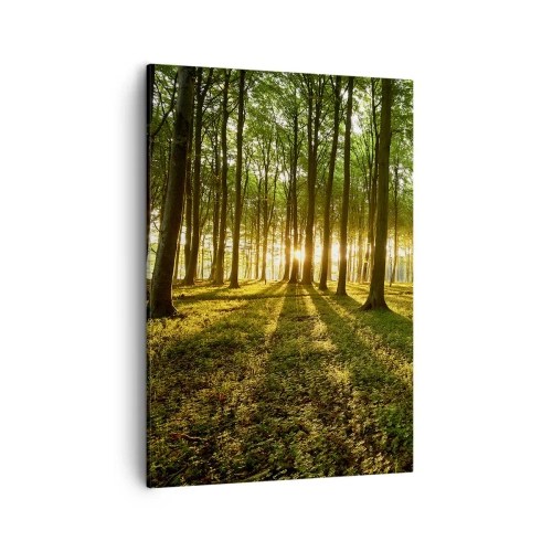 Impression sur toile - Image sur toile - Le soleil couchant dans la forêt de feuillus - 50x70cm - Toutes les photographies de printemps - Décoration murale moderne pour le salon et la chambre ARTTOR