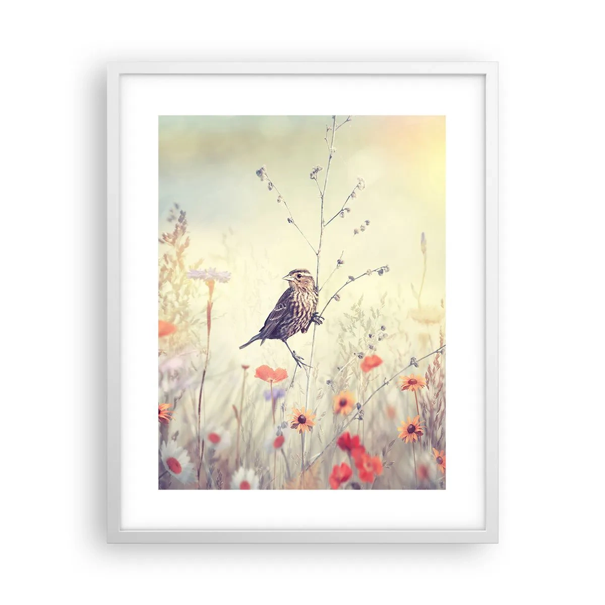 Affiche dans un cadre blanc - Poster - Portrait d'oiseau sur pré en fond - 40x50 cm