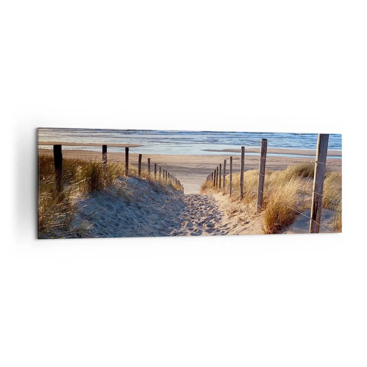Impression sur toile - Image sur toile - Chemin à travers les dunes menant à la plage - 160x50cm - Le bruit de la mer, le chant des oiseaux, une plage sauvage parmi les herbes… - Décoration murale moderne pour le salon et la chambre ARTTOR