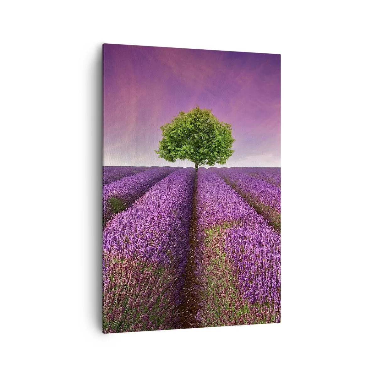 Impression sur toile - Image sur toile - Un champ de lavande avec un arbre solitaire et un ciel violet - 70x100cm - Dans un champs de lavande - Décoration murale moderne pour le salon et la chambre ARTTOR