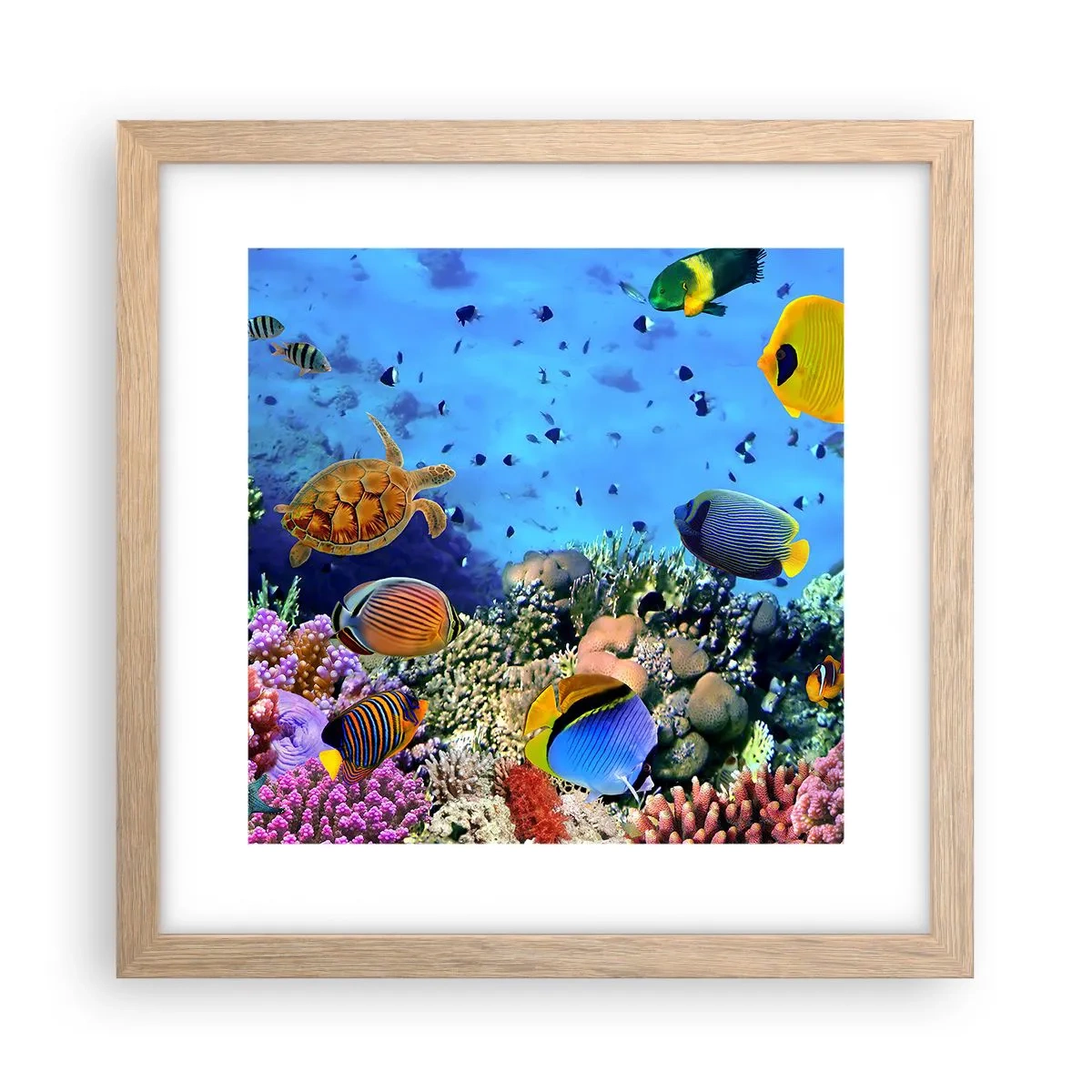 Affiche dans un chêne clair - Poster - Et que sait-on de la vie… - 30x30 cm