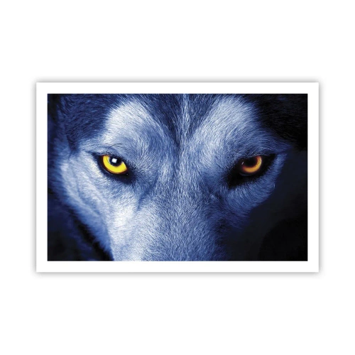 Affiche - Poster - Regars hypnotique - 91x61 cm