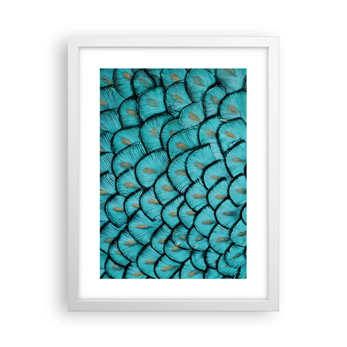 Affiche dans un cadre blanc - Poster - Le grand gala des plumes - 30x40 cm