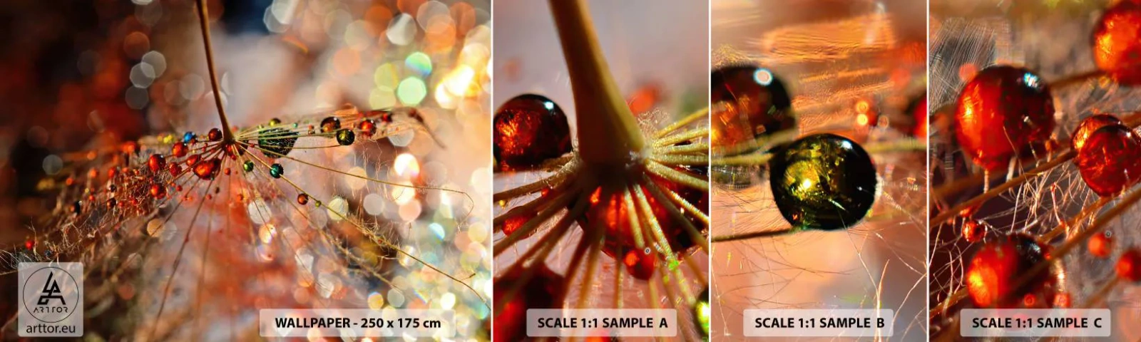 Échantillon de Papier Peint Autocollant Deluxe Sticker - Enfilé sur un fil d'araignée - Abstraction, toile d'araignée, Morceau - 100x30 cm