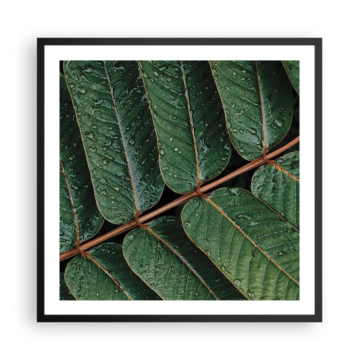 Affiche dans un cadre noir - Poster - Au rythme de la verdure - 60x60 cm