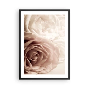 Affiche dans un cadre noir - Poster - Gros plan de délicates roses crème - 50x70cm - Au coeur d'ue la rose - Décoration murale moderne pour le salon et la chambre ARTTOR