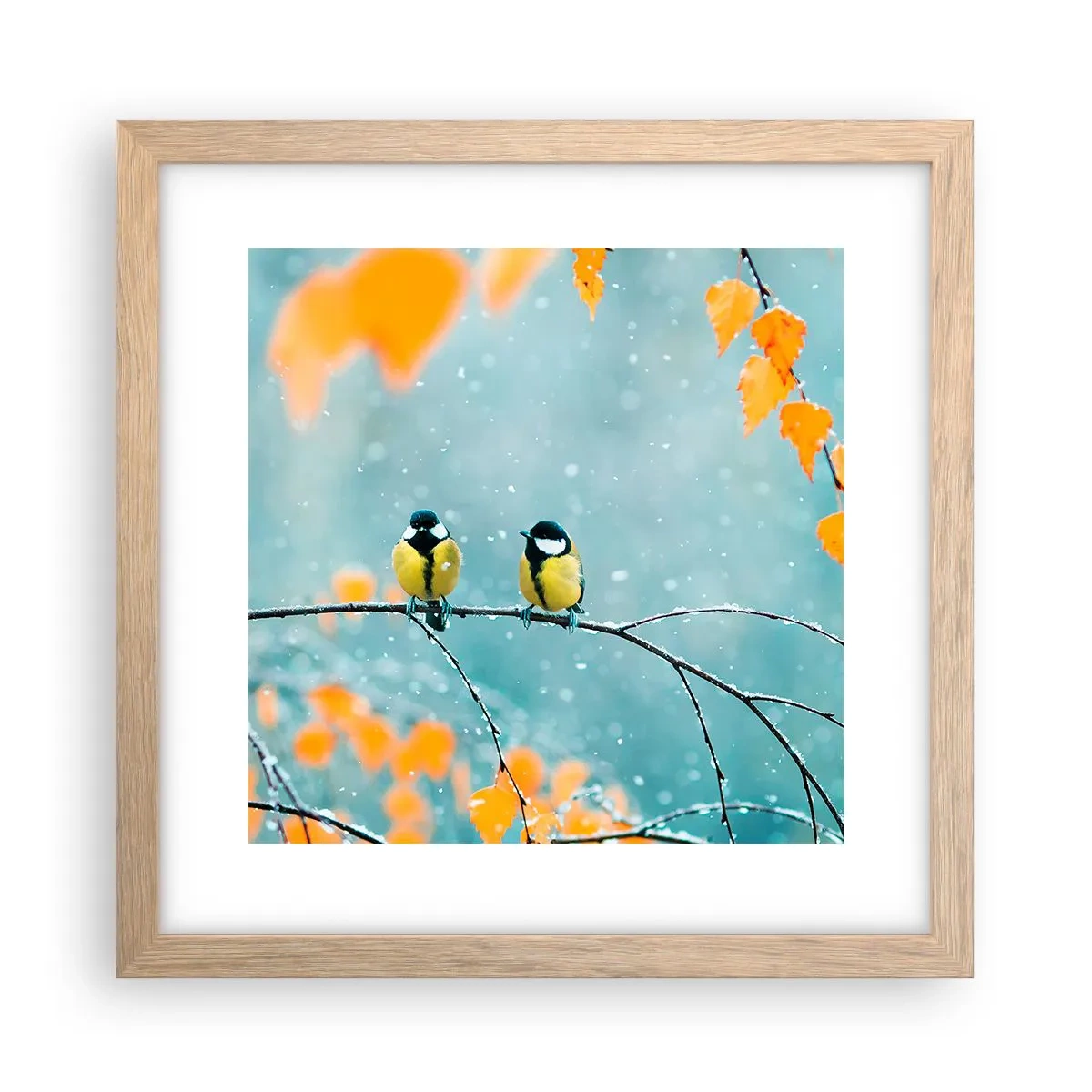 Affiche dans un chêne clair - Poster - Potins d'oiseaux - 30x30 cm