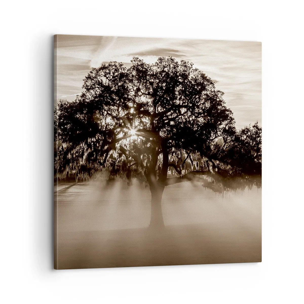 Impression sur toile - Image sur toile - Arbre de bonnes nouvelles - 60x60 cm