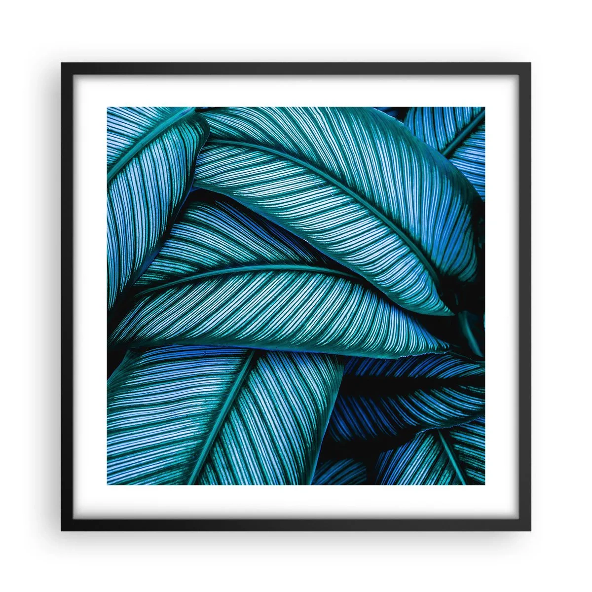 Affiche dans un cadre noir - Poster - Lignes de vie - 50x50 cm