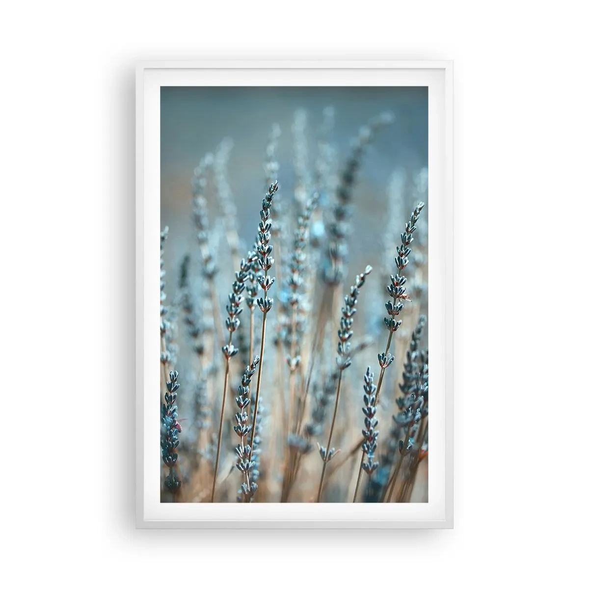 Affiche dans un cadre blanc - Poster - Tige odorante - 61x91 cm