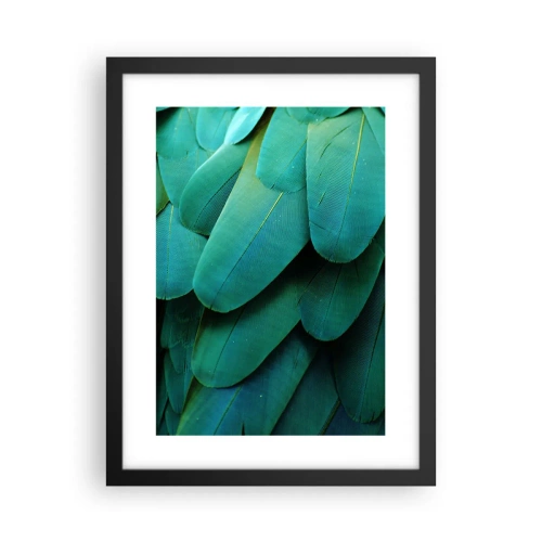 Affiche dans un cadre noir - Poster - Perfection de la nature du perroquet - 30x40 cm