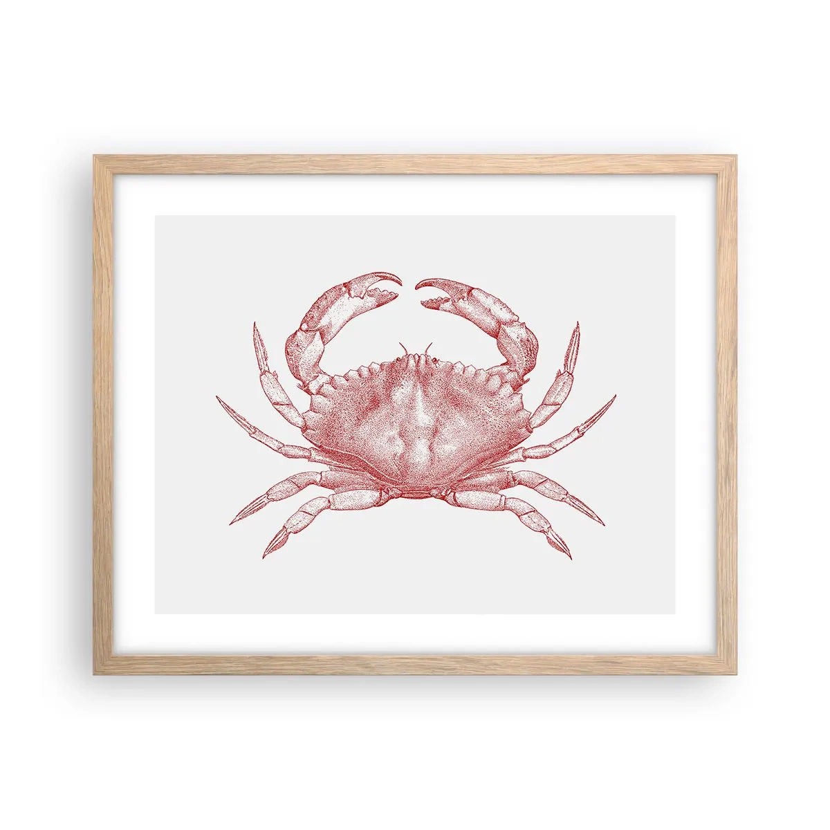 Affiche dans un chêne clair - Poster - Le crabe des crabes - 50x40 cm