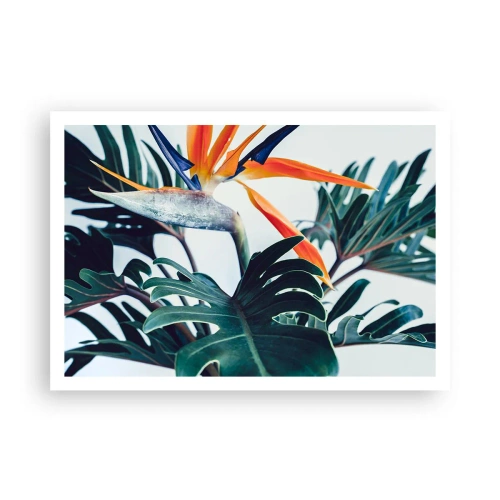 Affiche - Poster - Fleur de Strelitzia entourée de feuilles sous une lumière vive - 100x70cm - Le buisson oiseaux - Décoration murale moderne pour le salon et la chambre ARTTOR