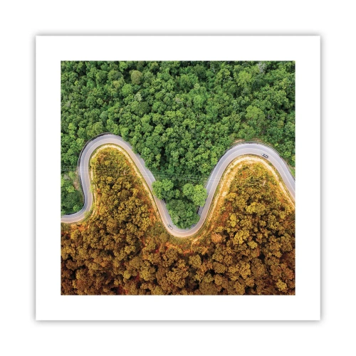 Affiche - Poster - Frontieres et differences - 40x40 cm