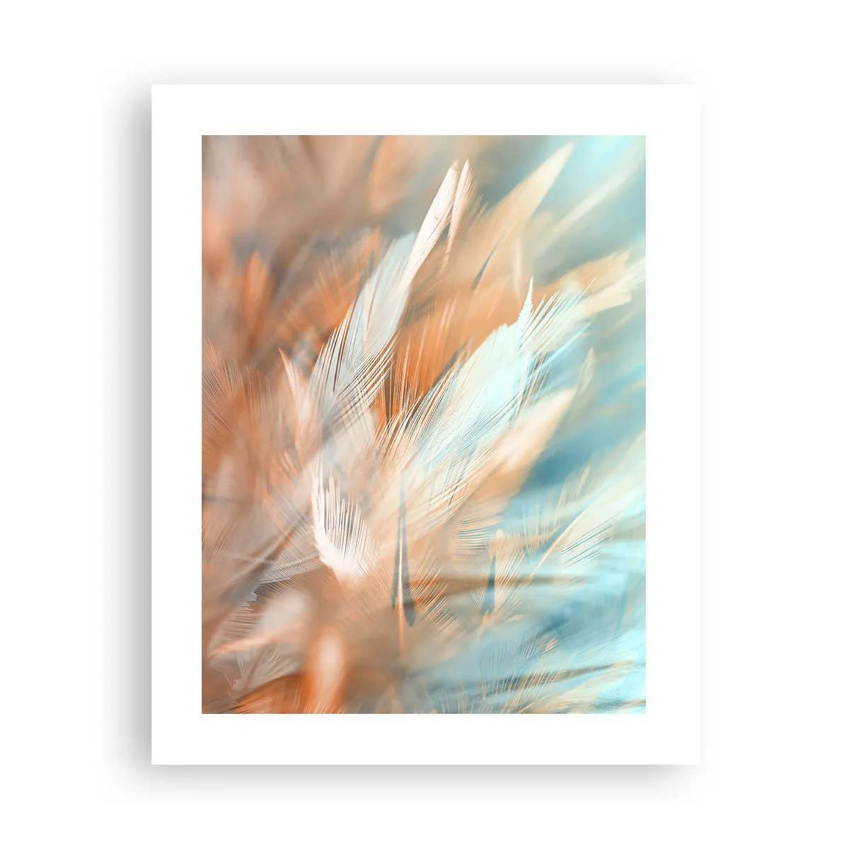Affiche - Poster - Au pays de la douceur - 40x50 cm