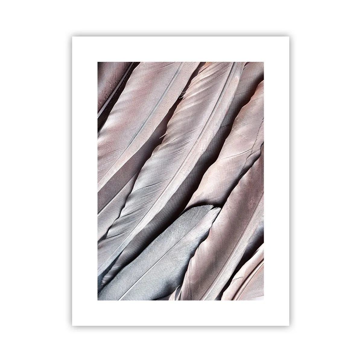 Affiche - Poster - En argent rose - 30x40 cm