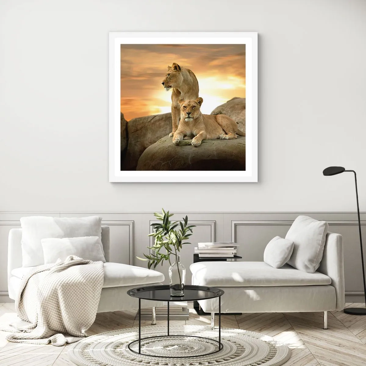 Affiche dans un cadre blanc - Poster - Majesté royale - 30x30 cm