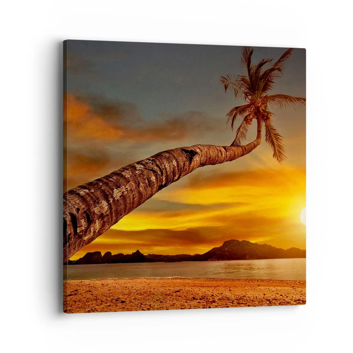 Impression sur toile - Image sur toile - Vacances exotiques, aventure caribéenne - 40x40 cm
