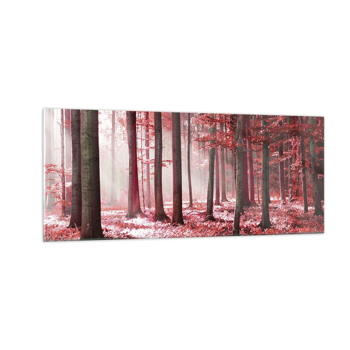 Impression sur verre - Image sur verre - Le rouge est tout aussi beau - 100x40 cm