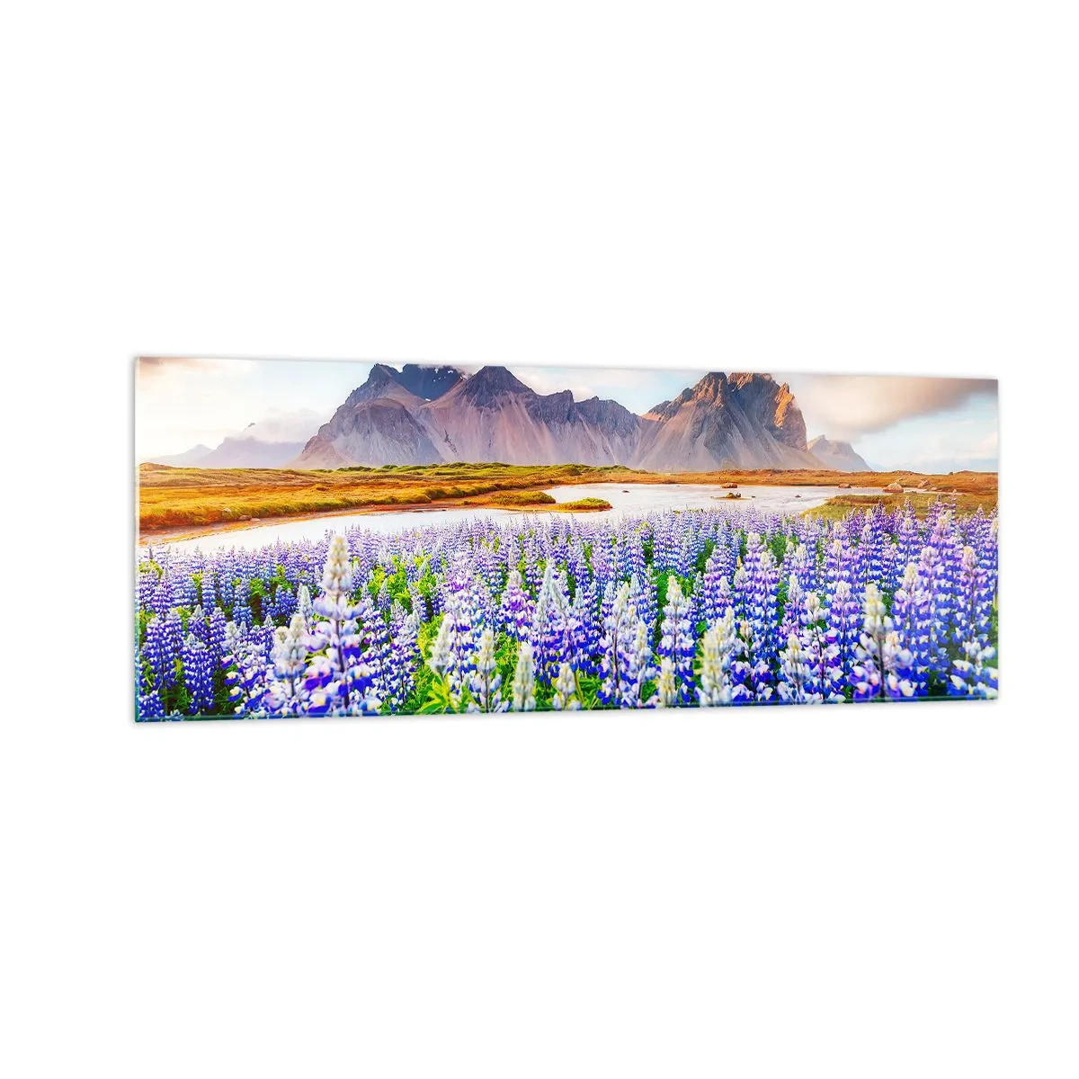 Impression sur verre - Image sur verre - Fleurs dans un paysage de montagne avec un ciel pittoresque - 140x50cm - La force et l'austérité côtoient la douceur - Décoration murale moderne pour le salon et la chambre ARTTOR