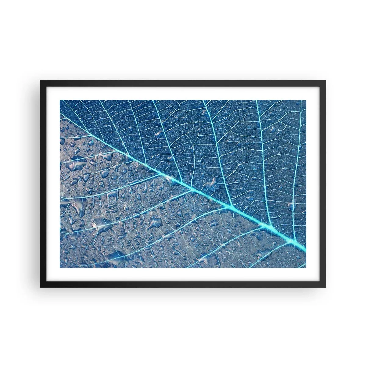 Affiche dans un cadre noir - Poster - Une feuille dans des tons bleus avec des gouttes d'eau - 70x50cm - La vie en bleu - Décoration murale moderne pour le salon et la chambre ARTTOR