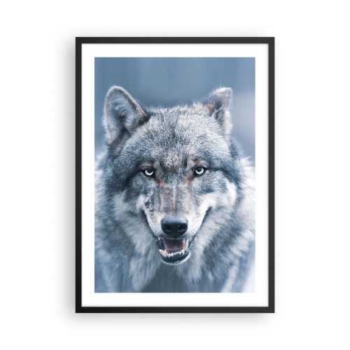 Affiche dans un cadre noir - Poster - Portrait d'un loup dans un paysage hivernal - 50x70cm - Relèverez-vous le défi ? - Décoration murale moderne pour le salon et la chambre ARTTOR