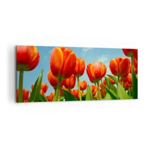 Impression sur toile - Image sur toile - Un champ de tulipes rouges et oranges contre un ciel bleu - 120x50cm - A part le ciel bleu, ils n'ont besoin de rien dans leur vie - Décoration murale moderne pour le salon et la chambre ARTTOR