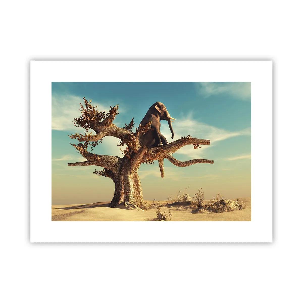 Affiche - Poster - Nouveau point de vue - 40x30 cm