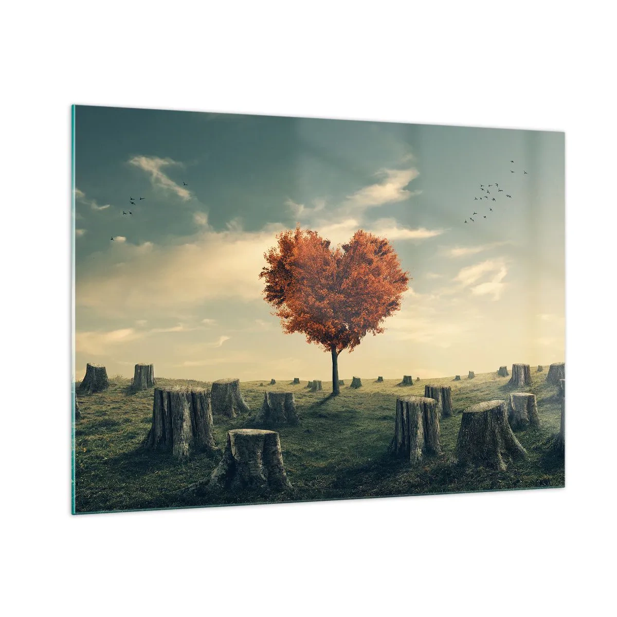 Impression sur verre - Image sur verre - Un arbre en forme de cœur entouré de troncs coupés dans une clairière - 100x70cm - Il y a toujours de l'espoir - Décoration murale moderne pour le salon et la chambre ARTTOR