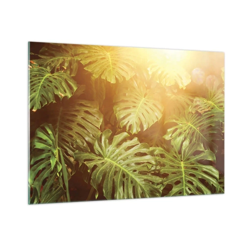 Impression sur verre - Image sur verre - Feuilles de monstera vertes sous la lumière dorée du soleil tropical - 100x70cm - Se fondre dans la verdure - Décoration murale moderne pour le salon et la chambre ARTTOR