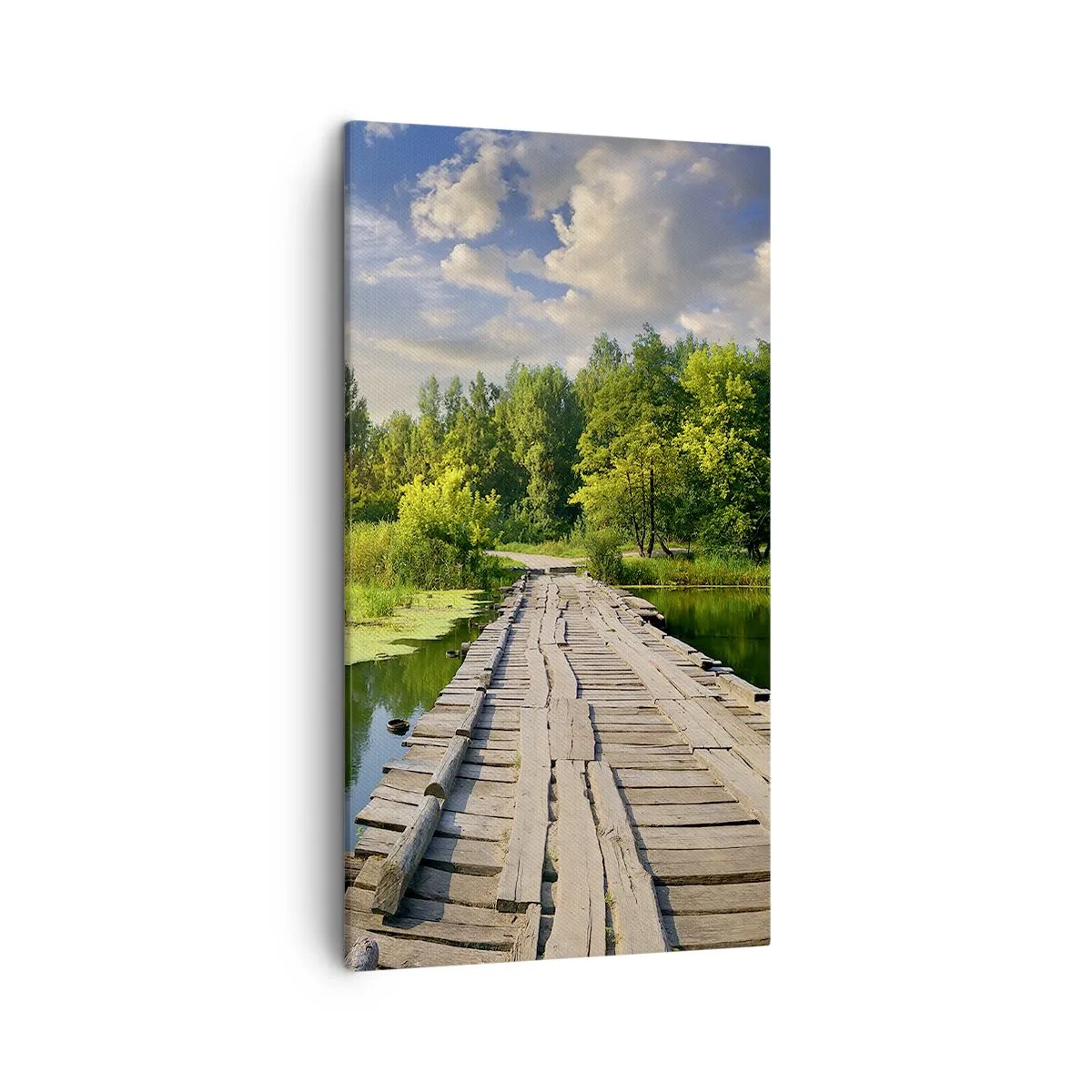 Impression sur toile - Image sur toile - L'été, l'été partout - 45x80 cm