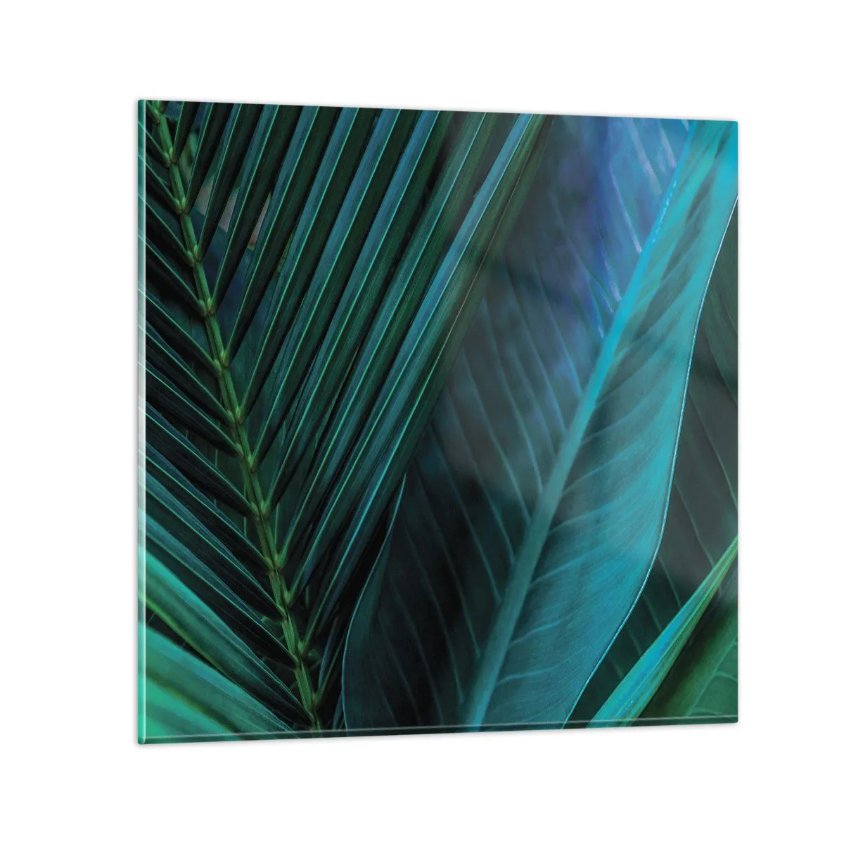 Impression sur verre - Image sur verre - L'anatomie du vert - 30x30 cm