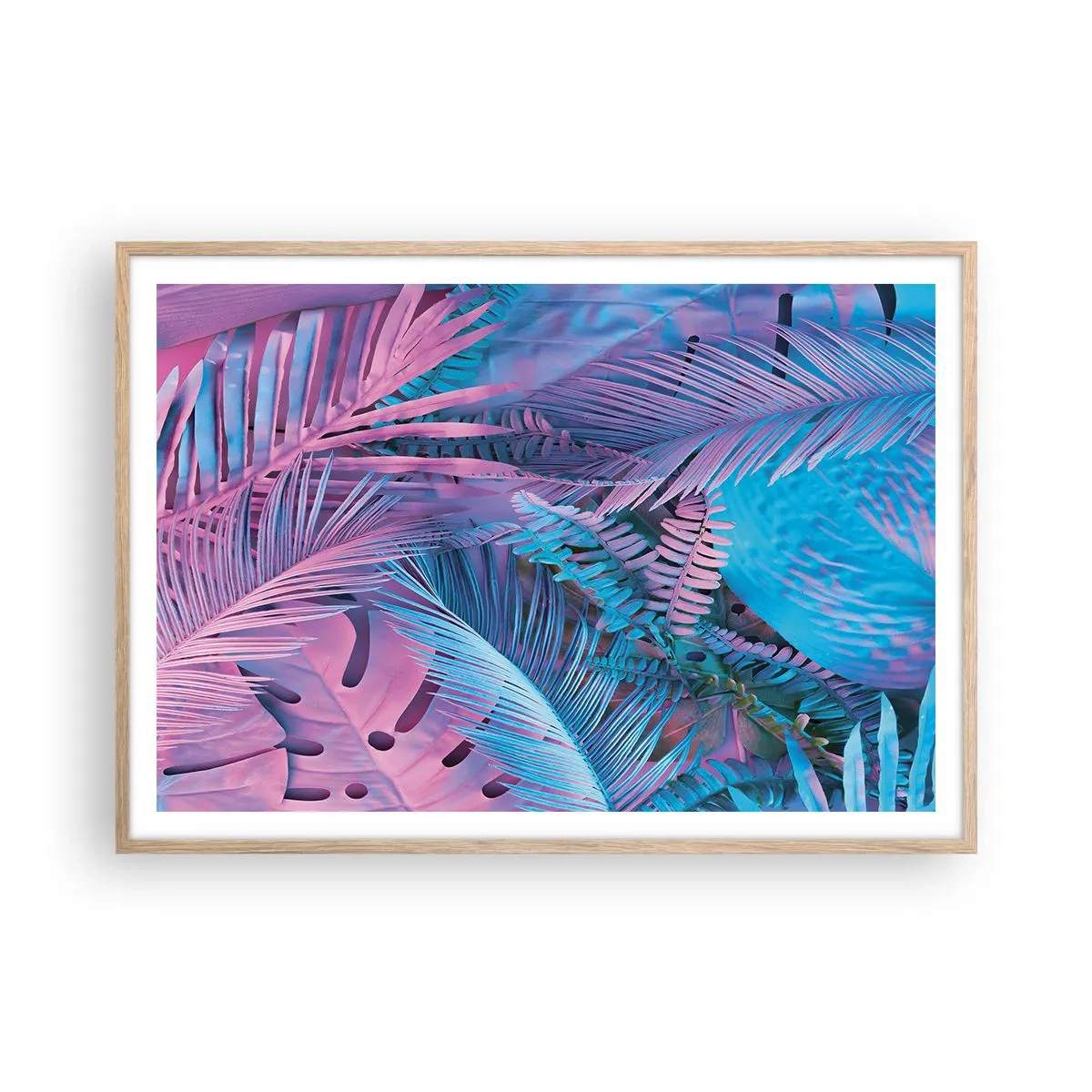 Affiche dans un chêne clair - Poster - Les tropiques en rose et bleu - 100x70 cm