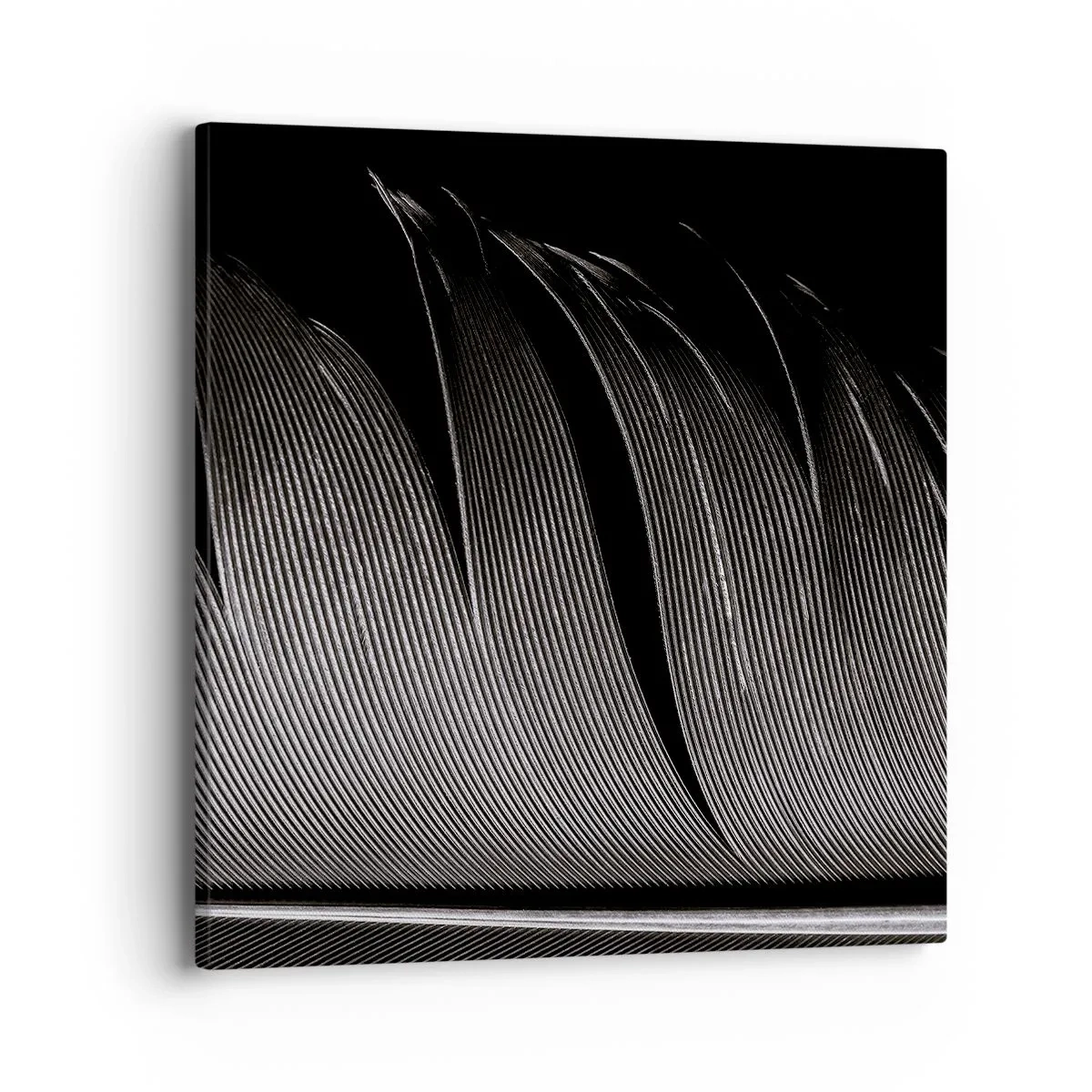 Impression sur toile - Image sur toile - La plume – un design magnifique - 40x40 cm