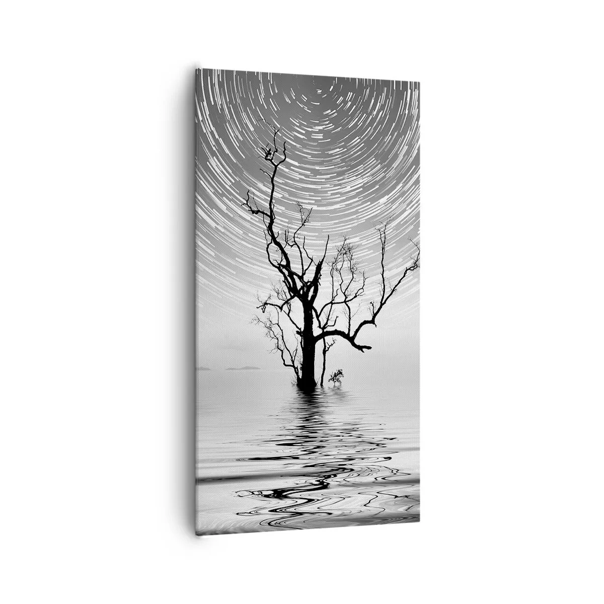 Impression sur toile - Image sur toile - La symphonie de la nature - 65x120 cm