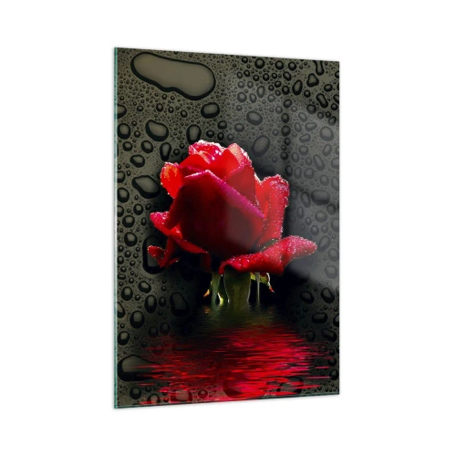 Impression sur verre - Image sur verre - Rose rouge avec des gouttes d'eau sur un fond sombre - 50x70cm - Rouge et noir - Décoration murale moderne pour le salon et la chambre ARTTOR