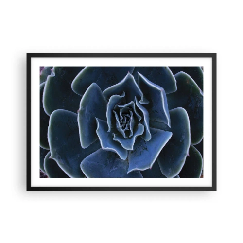 Affiche dans un cadre noir - Poster - Gros plan d'une rosette succulente verte - 70x50cm - Fleur du désert - Décoration murale moderne pour le salon et la chambre ARTTOR