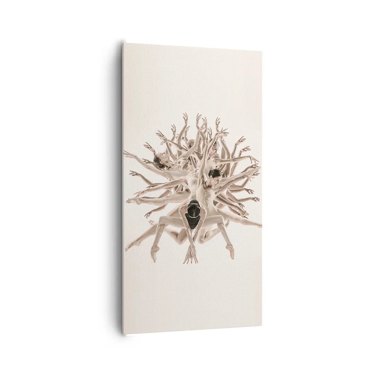 Impression sur toile - Image sur toile - S'épanouir en danse - 65x120 cm