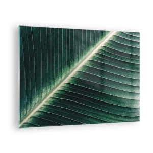 Impression sur verre - Image sur verre - Détail d'une feuille de bananier dans une nuance de vert intense - 70x50cm - Le rythme de la nature - Décoration murale moderne pour le salon et la chambre ARTTOR
