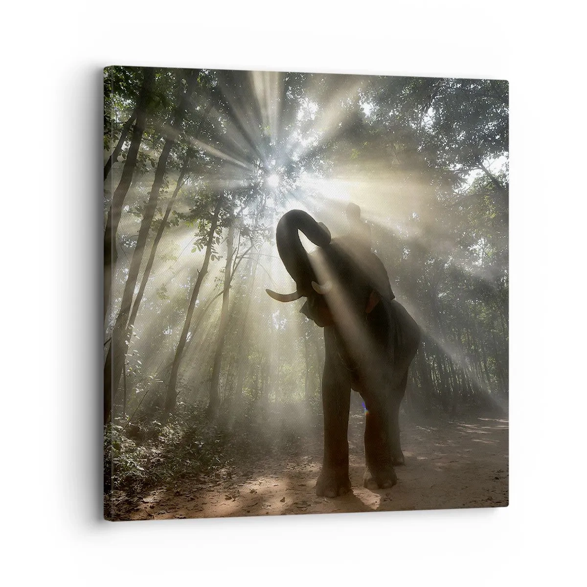 Impression sur toile - Image sur toile - Sous la bonne étoile - 30x30 cm