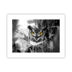 Affiche - Poster - Rien ne se cachera - 40x30 cm