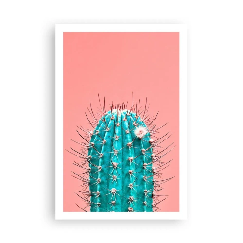 Affiche - Poster - Juste regarde - 61x91 cm