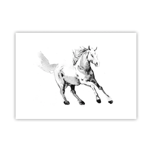 Affiche - Poster - Âme indomptée - 70x50 cm