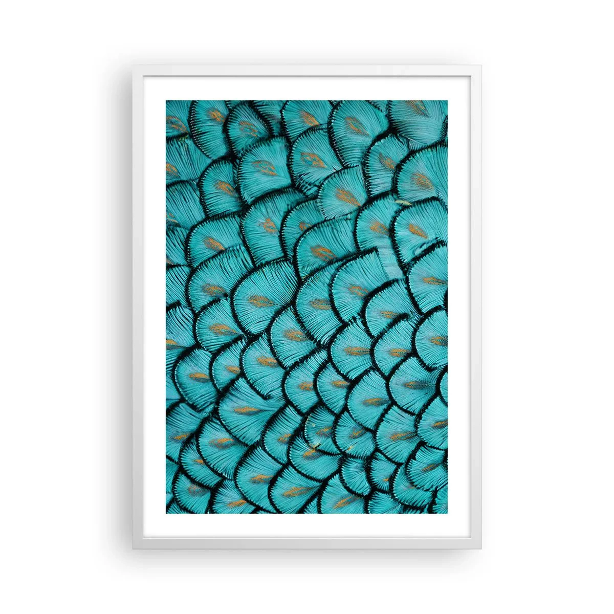 Affiche dans un cadre blanc - Poster - Le grand gala des plumes - 50x70 cm