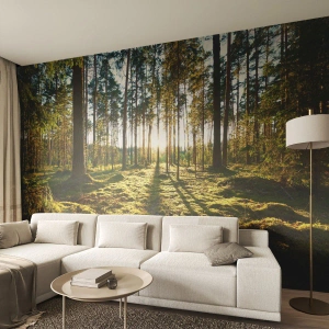 Papier Peint Photo Standard Eco - Forêt ensoleillée avec de la mousse verte et de longues ombres d'arbres - 100x70cm - … Derrière les sept forêts - Décoration murale moderne pour le salon et la chambre ARTTOR