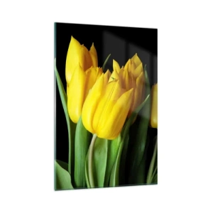 Impression sur verre - Image sur verre - Un bouquet de tulipes jaunes sur fond noir - 80x120cm - Lever de soleil pur - Décoration murale moderne pour le salon et la chambre ARTTOR