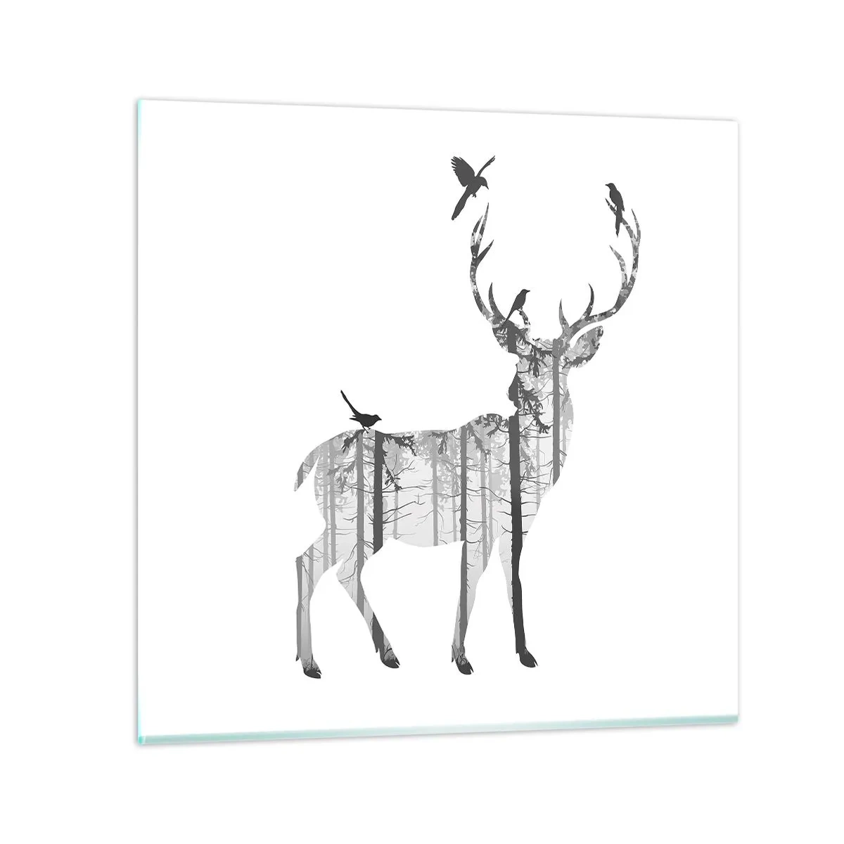 Impression sur verre - Image sur verre - La bonne âme de la forêt - 30x30 cm