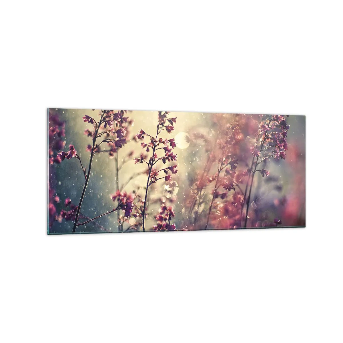 Impression sur verre - Image sur verre - Fleurs au soleil sur fond de nature - 120x50cm - Jardin secret - Décoration murale moderne pour le salon et la chambre ARTTOR