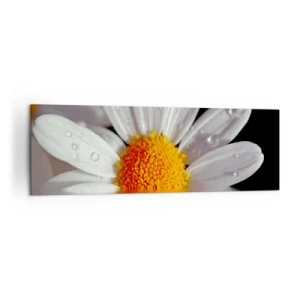 Impression sur toile - Image sur toile - Une marguerite blanche avec des gouttes d'eau immergées dans un reflet d'eau - 160x50cm - Le soleil levant des marguerites - Décoration murale moderne pour le salon et la chambre ARTTOR